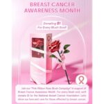 رژگونه گل رز شیگلم SHEGLAM مدل Pink Ribbon Rose Blush - Image 7