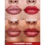 تینت لب و خط لب دو طرفه شیگلم SHEGLAM مدل Glam 101 Sheer Tinted Lipstick & Liner Duo رنگ Strawberry Sorbet - Image 3