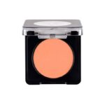 رژگونه پودری فلورمار flormar مدل Baked Blush-On New کد 100(رنگ Mattepeach) - Image 4